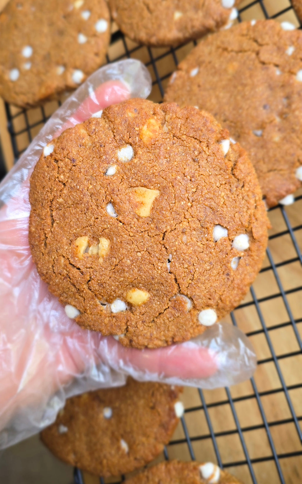 A gloved hand holding a white chocolate macadamia nut cookie with a black cooling rack on a wooden surface with more white chocolate macadamia cookies in the background