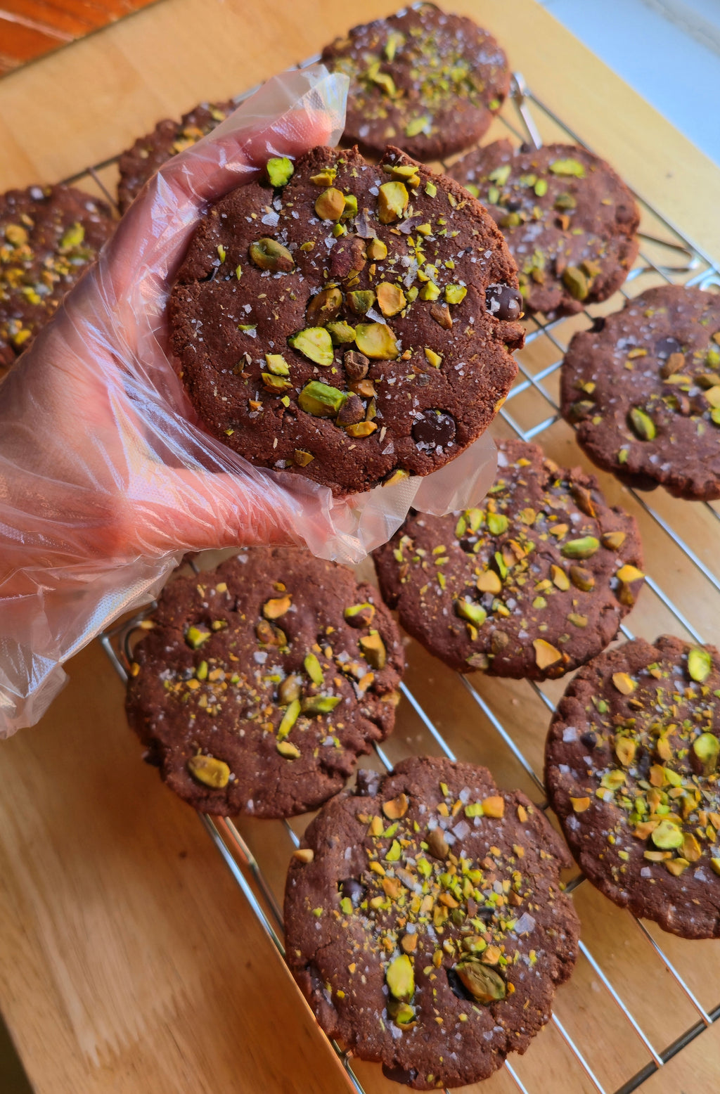 Chocolate cookies with pistachios on a cooling rack, held by a hand wearing a plastic glove.