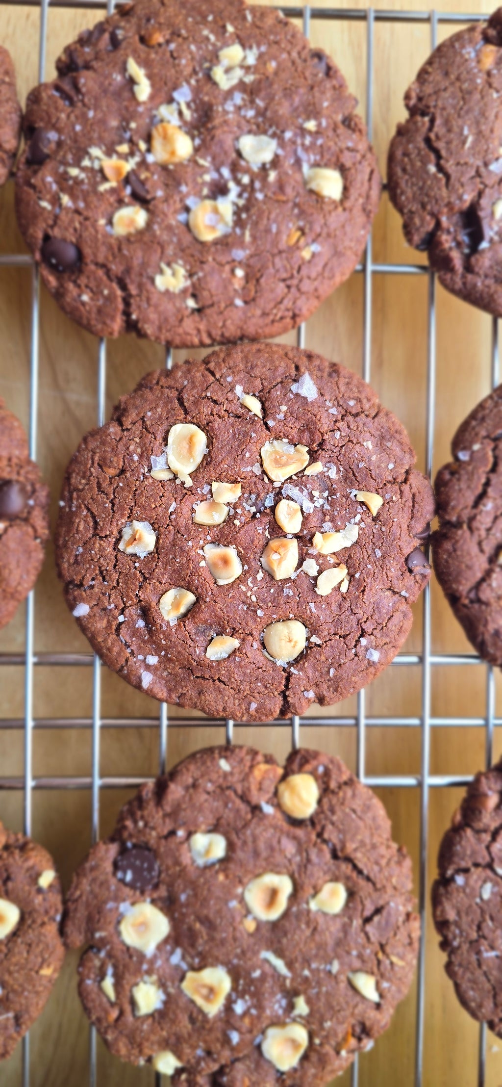 Chocolate cookies with hazelnuts on a cooling rack