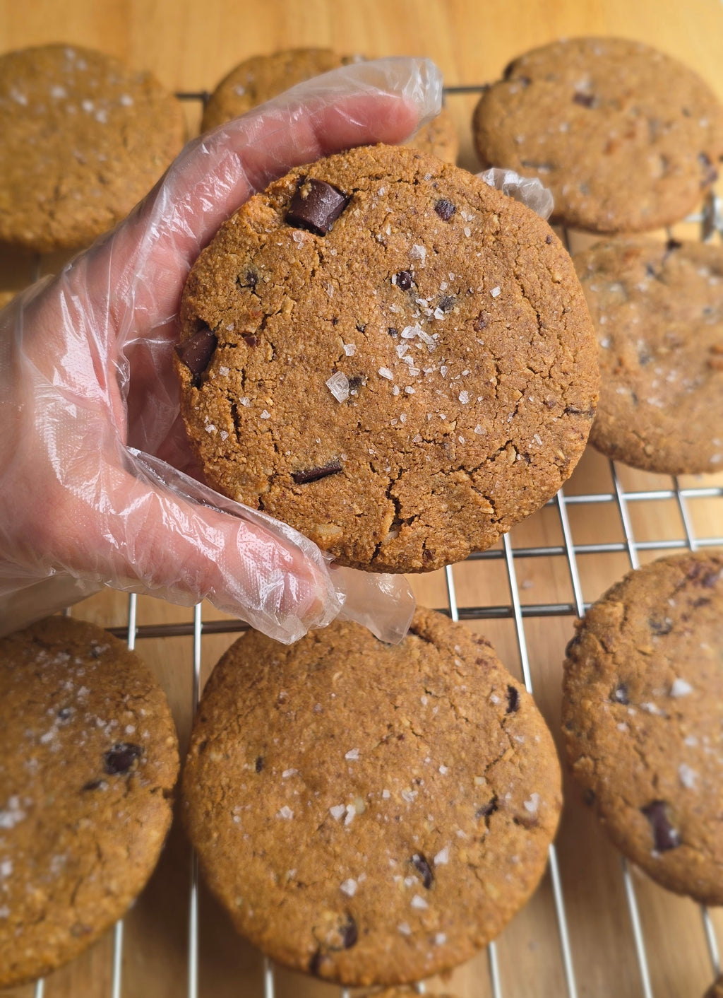 A gloved hand holding a chocolate chip cookie loaded with oats, coconuts, dates, and macadamia nuts with more of the same cookies in the background on a metal cooling rack.